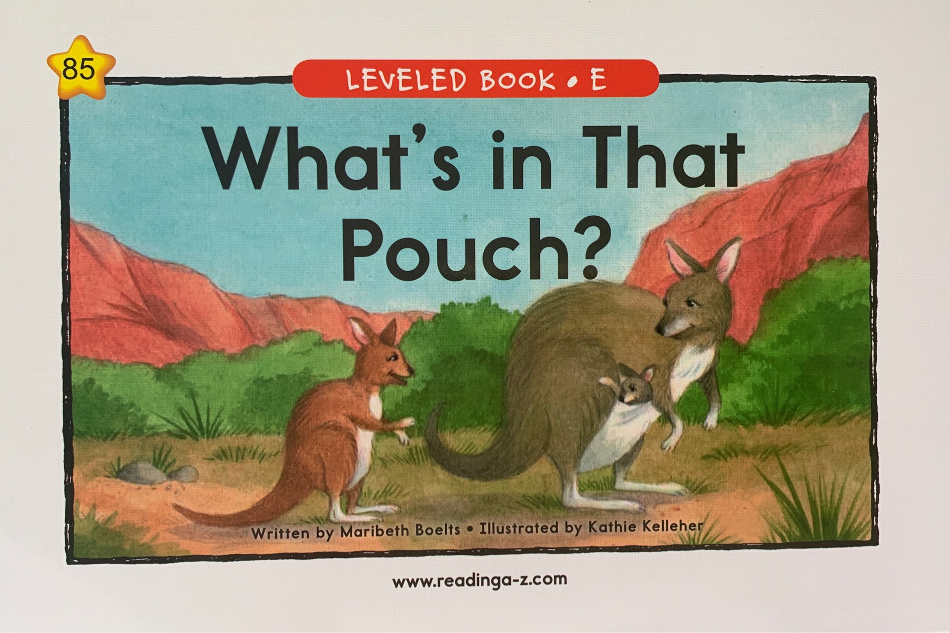 Raz E85:What's in That Pouch?