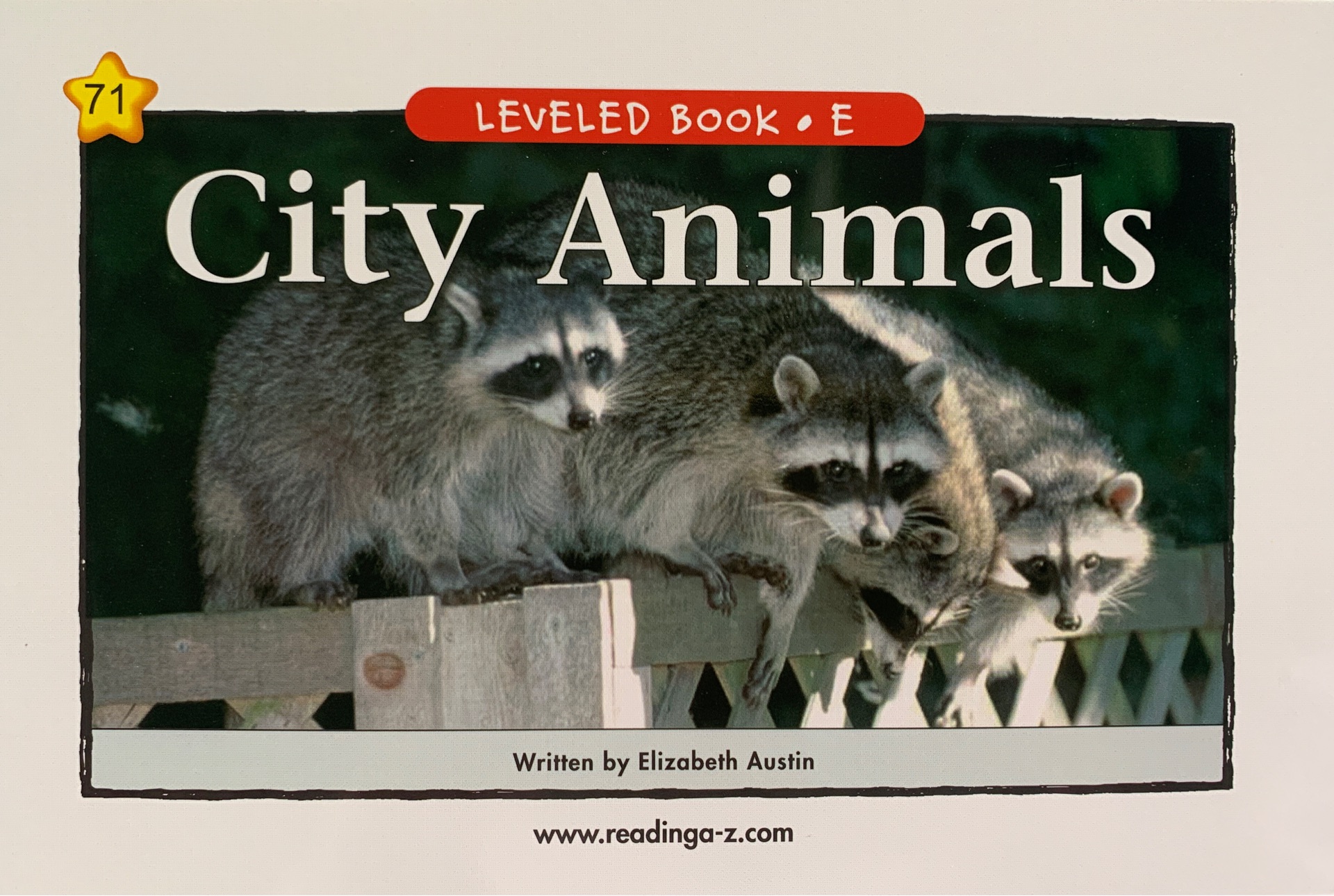 Raz E71:City Animals