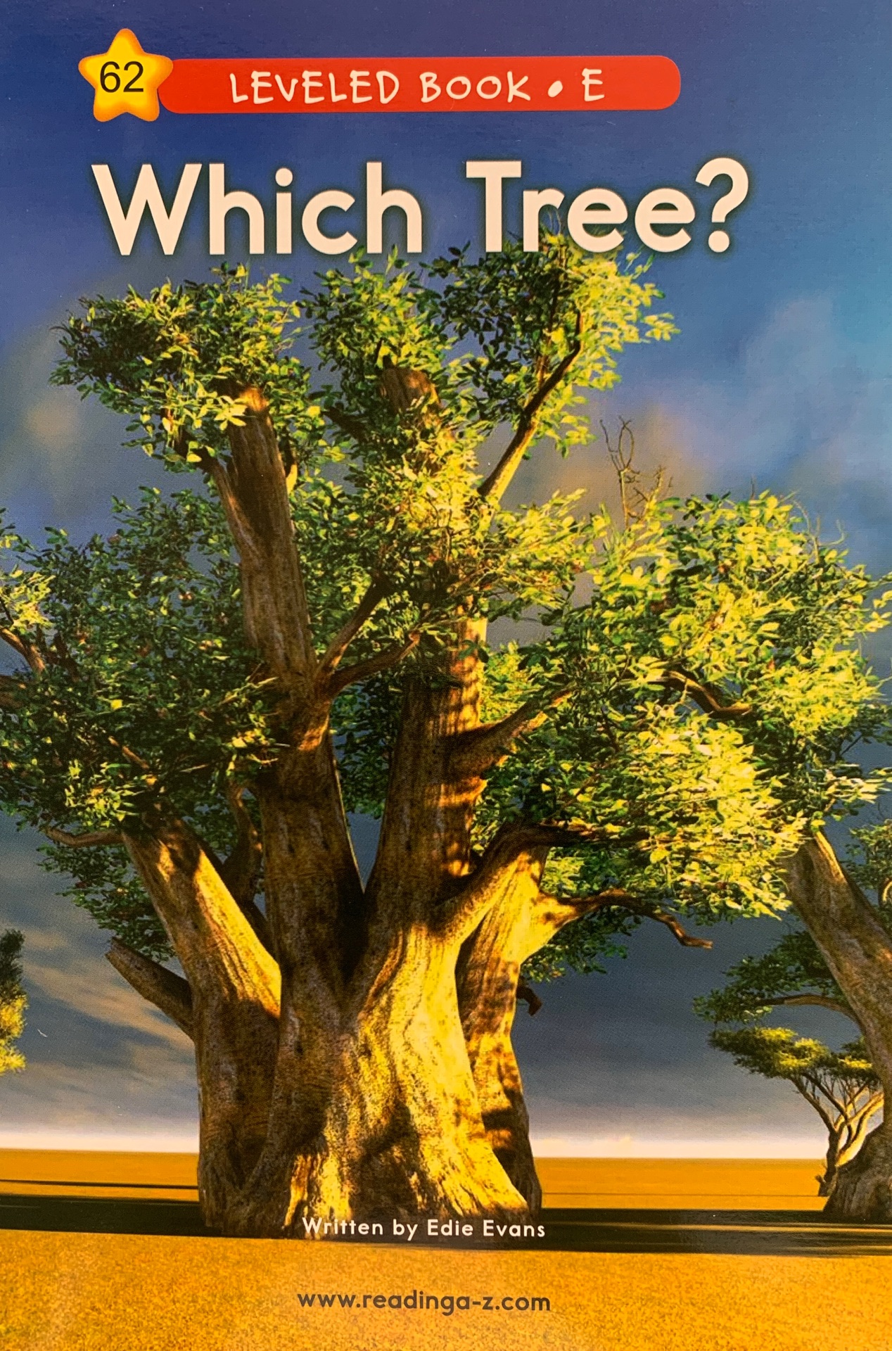 Raz E62:Which Tree?