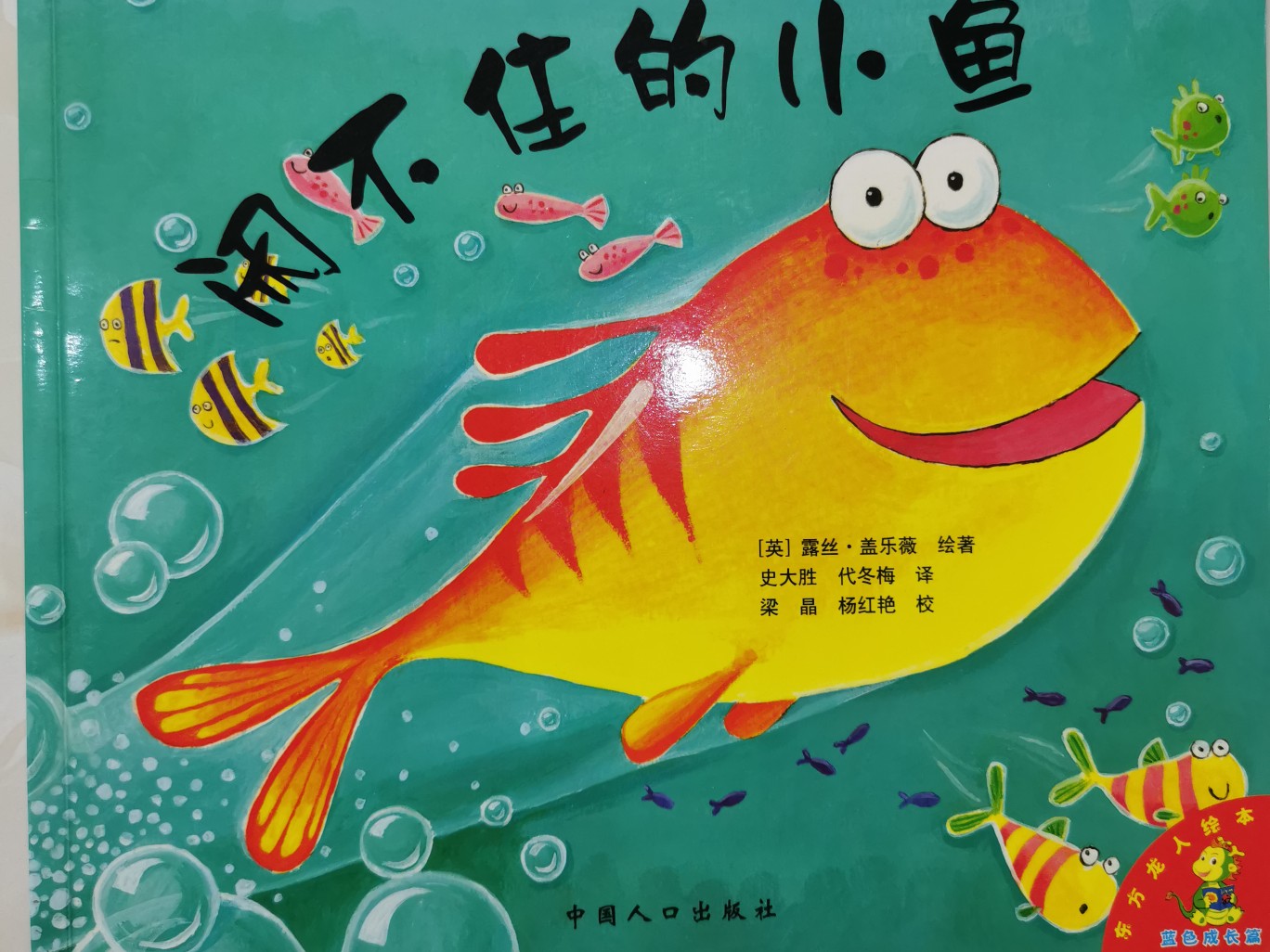 閑不住的小魚(yú)