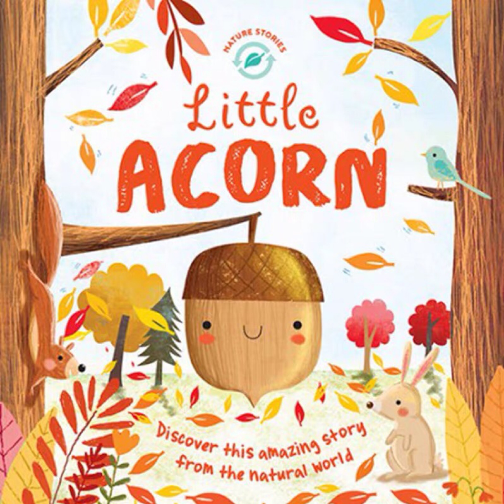 Little acorn