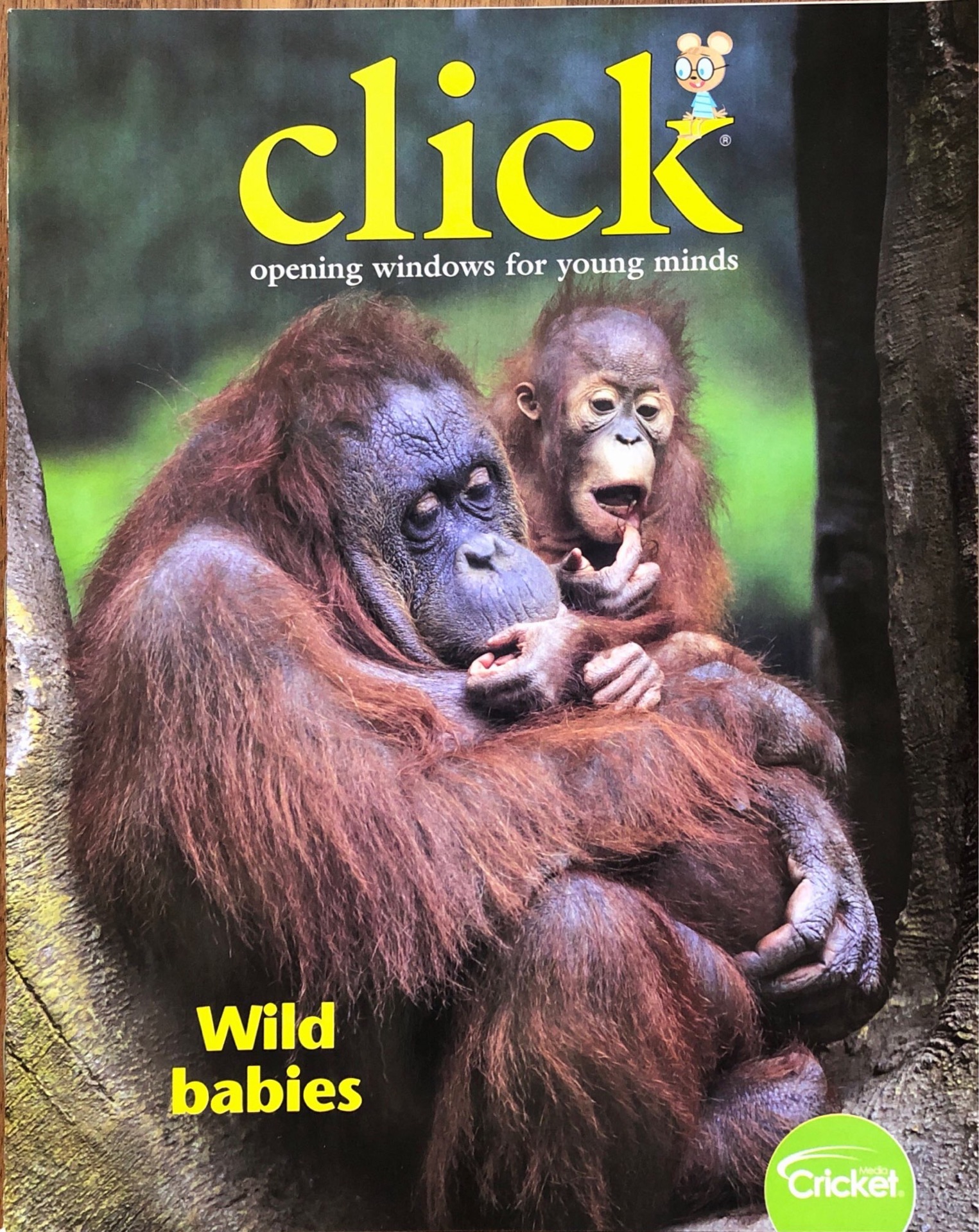 Click- wild baby