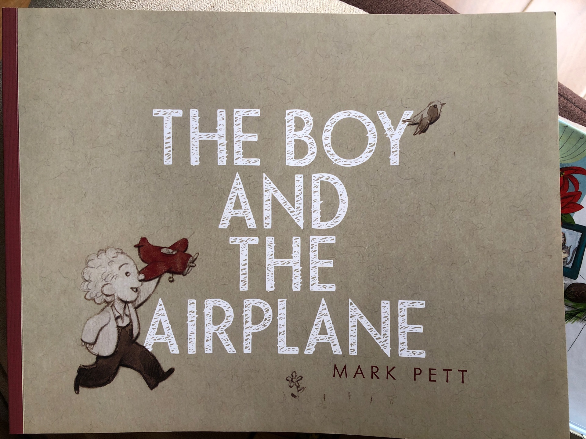 The boy and the airplane