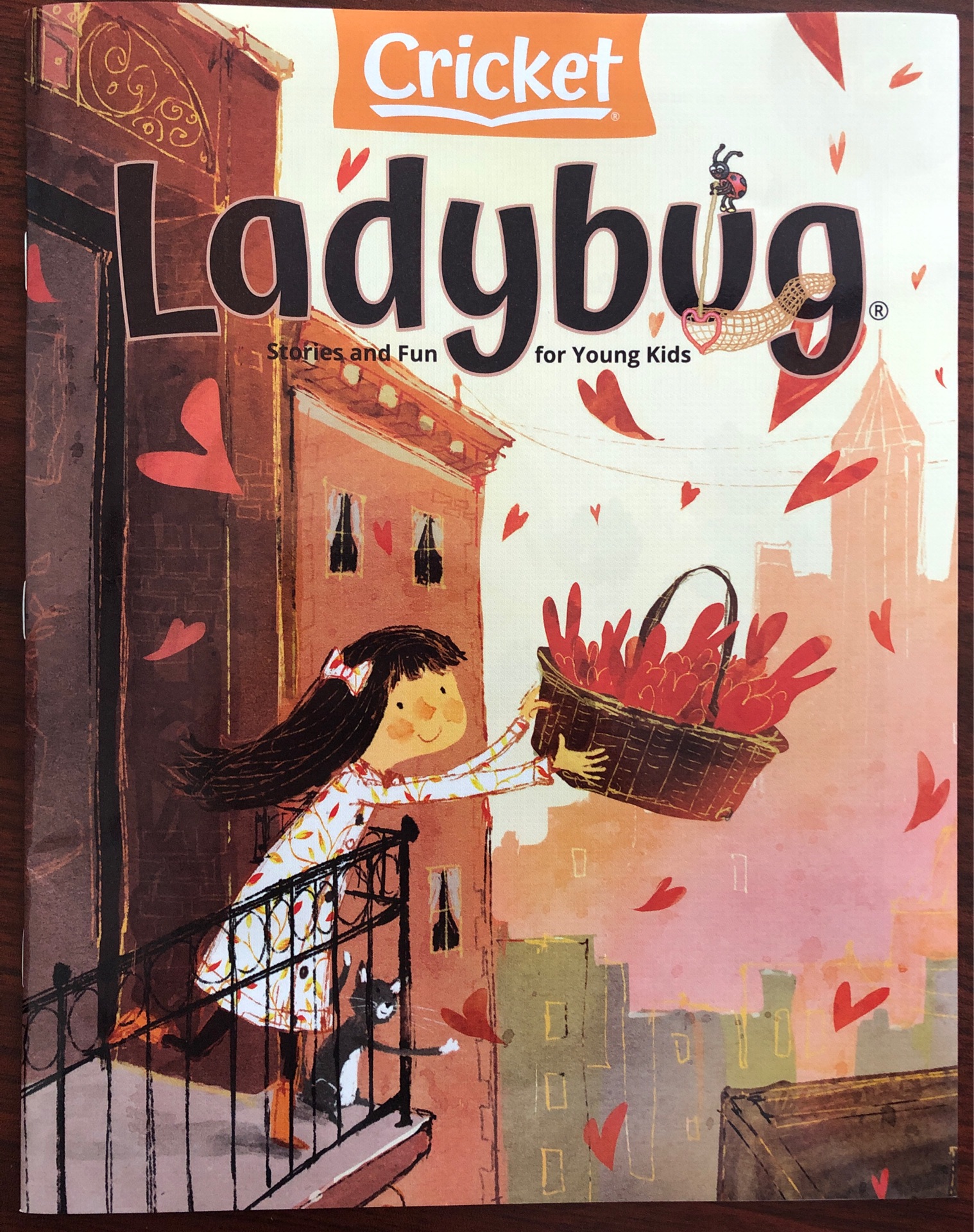 Ladybug 2021.2