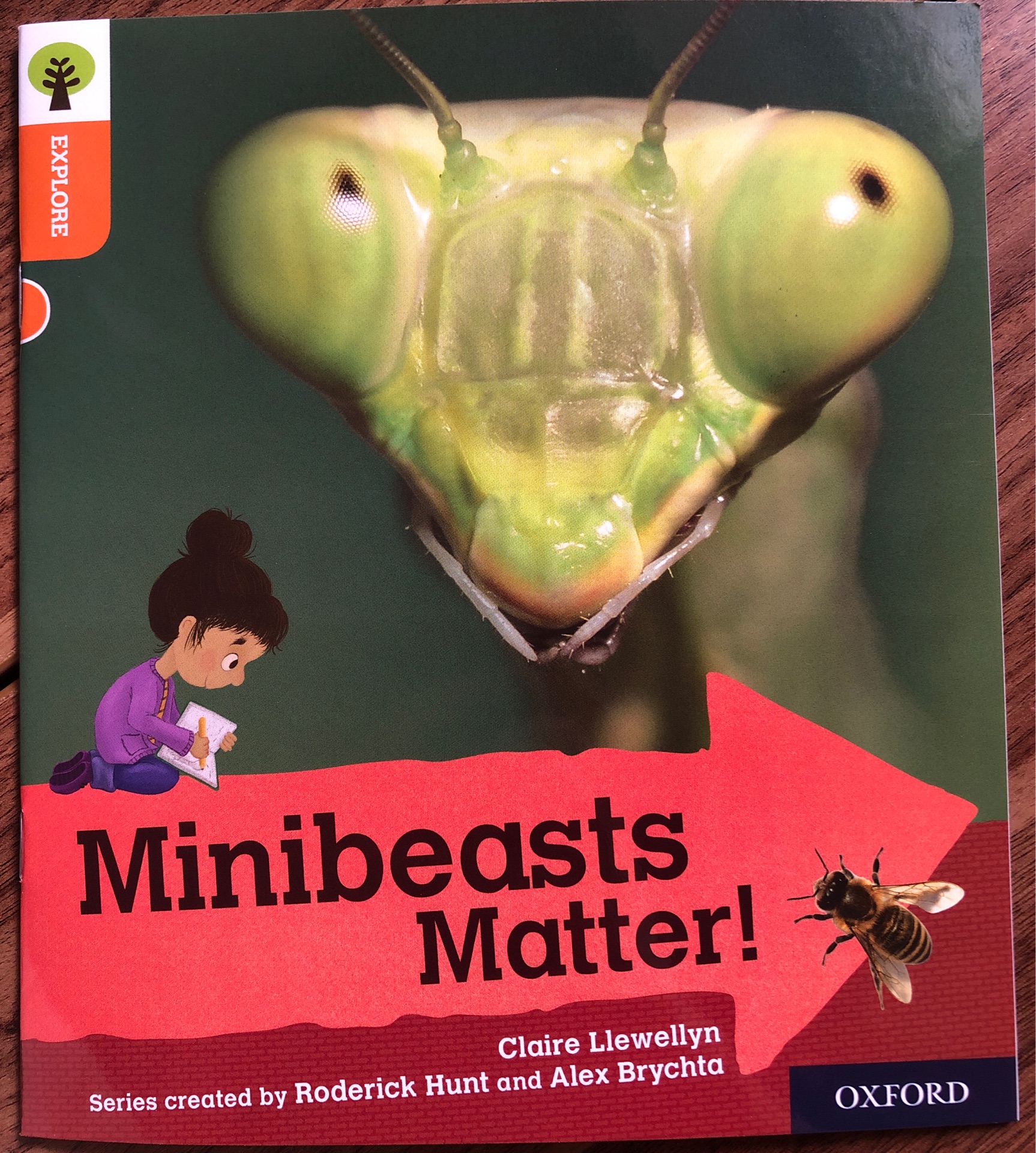 ORT L6 : Minibeasts Matter
(Oxford Reading Tree Explore)(Non-fiction)