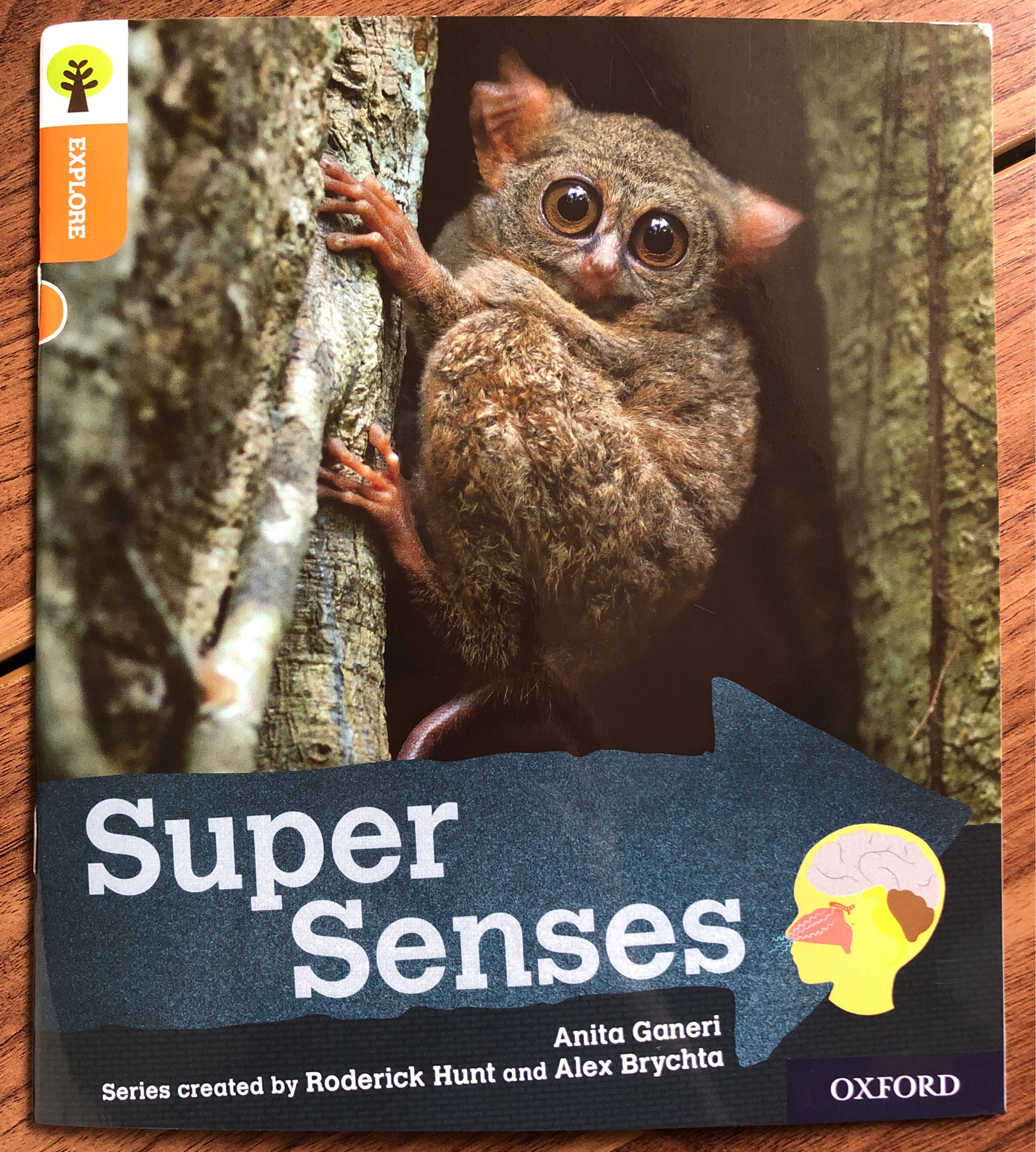 ORT L6 : Super Sense
(Oxford Reading Tree Explore)(Non-fiction)