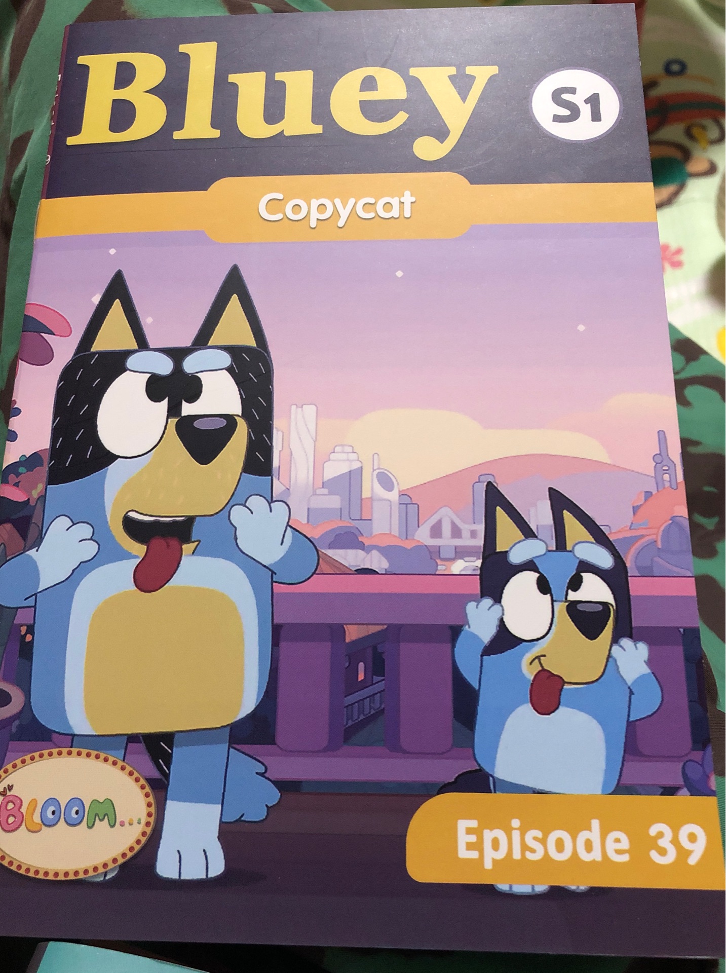 Bluey-Copycat