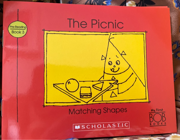 The Picnic