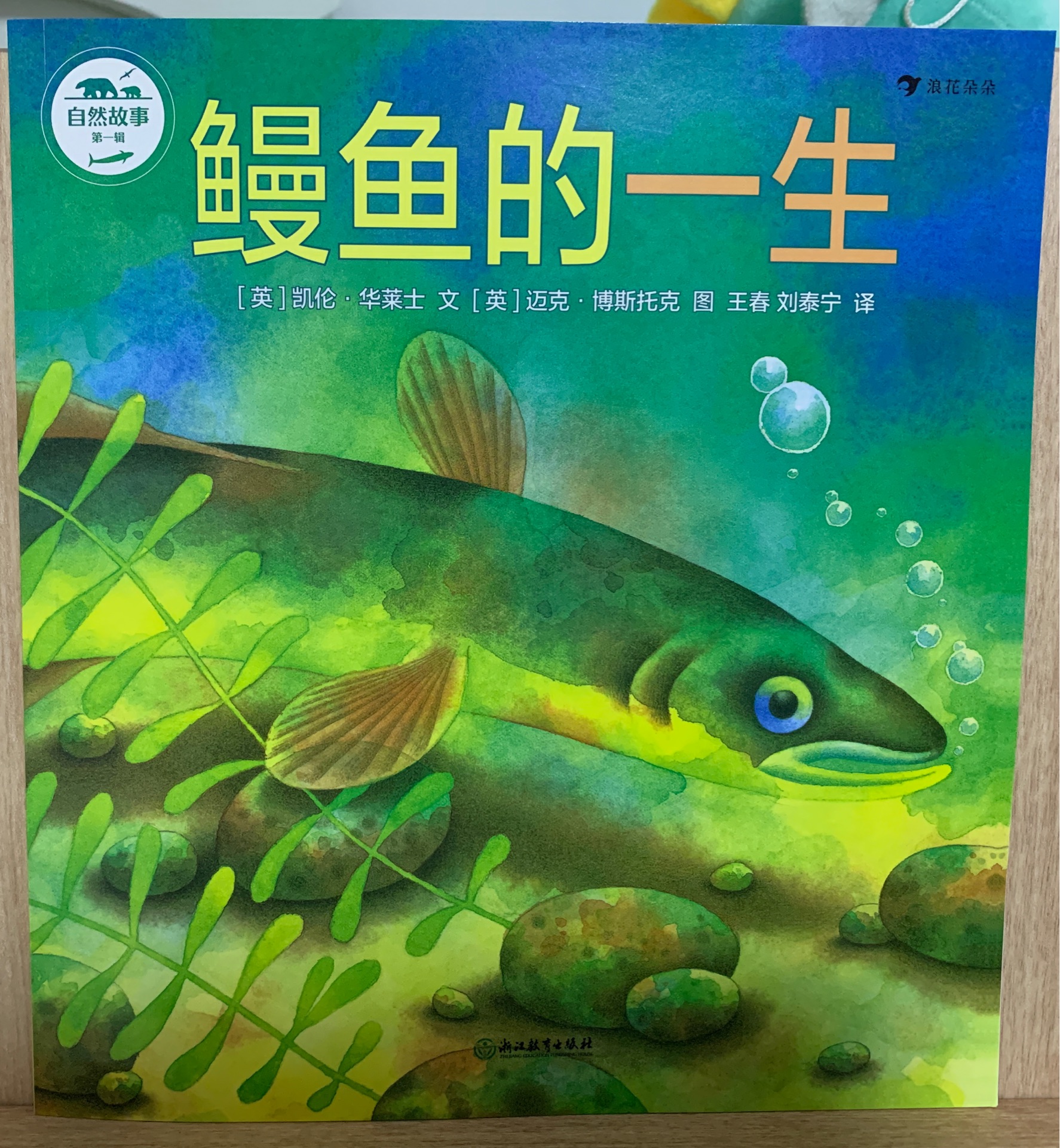 自然故事第一輯: 鰻魚的一生