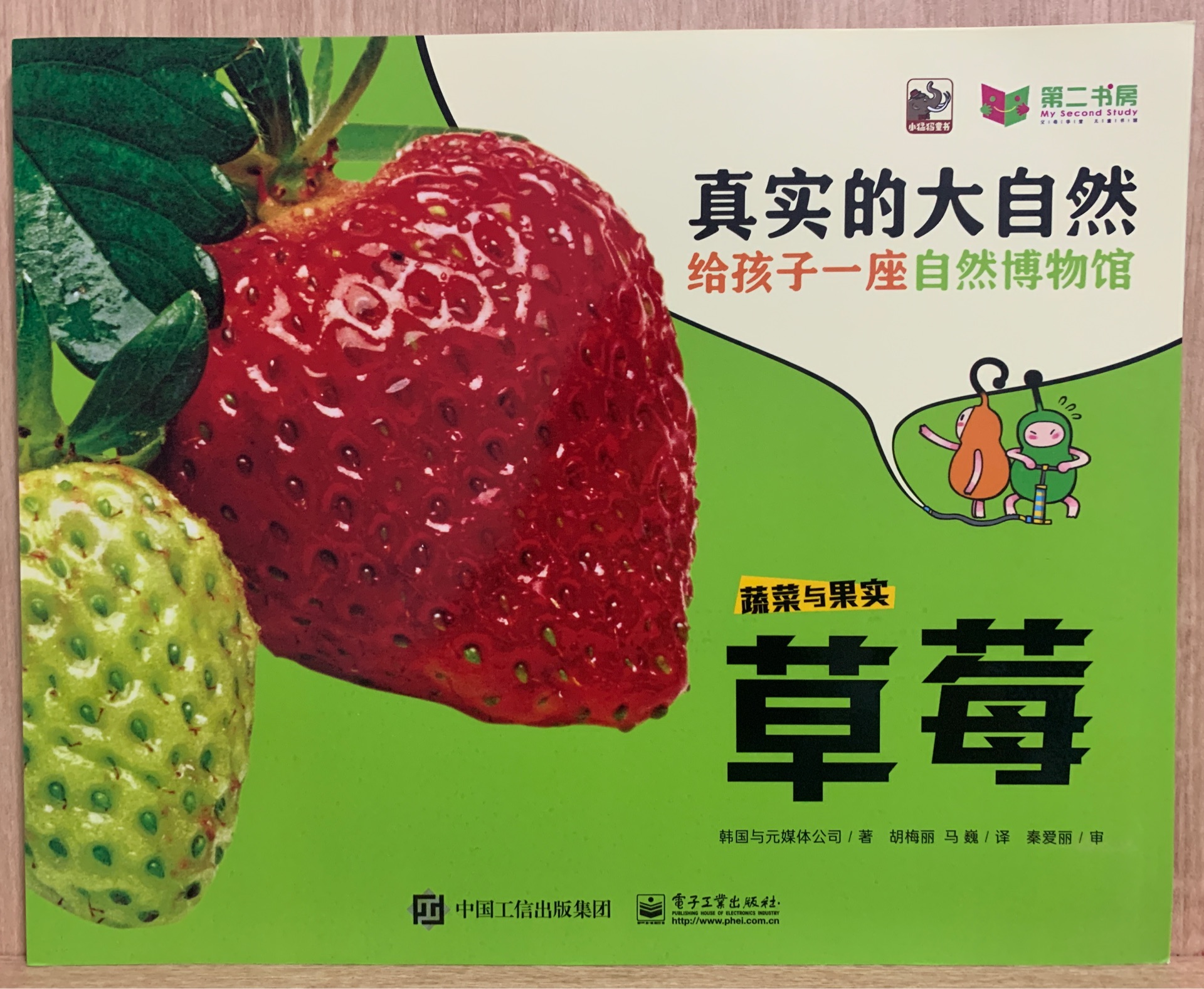 真實(shí)的大自然: 蔬菜與果實(shí)-草莓