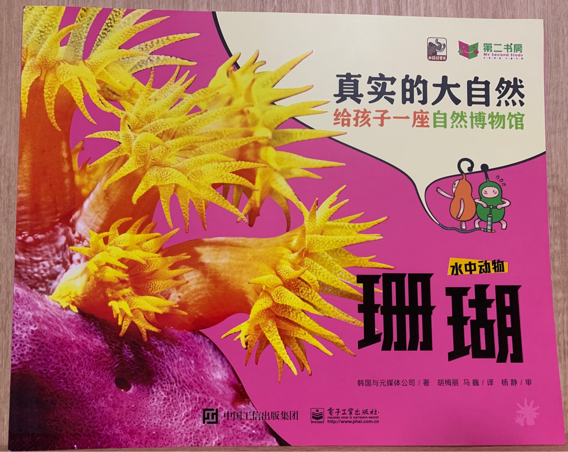 真實(shí)的大自然: 水中動(dòng)物-珊瑚
