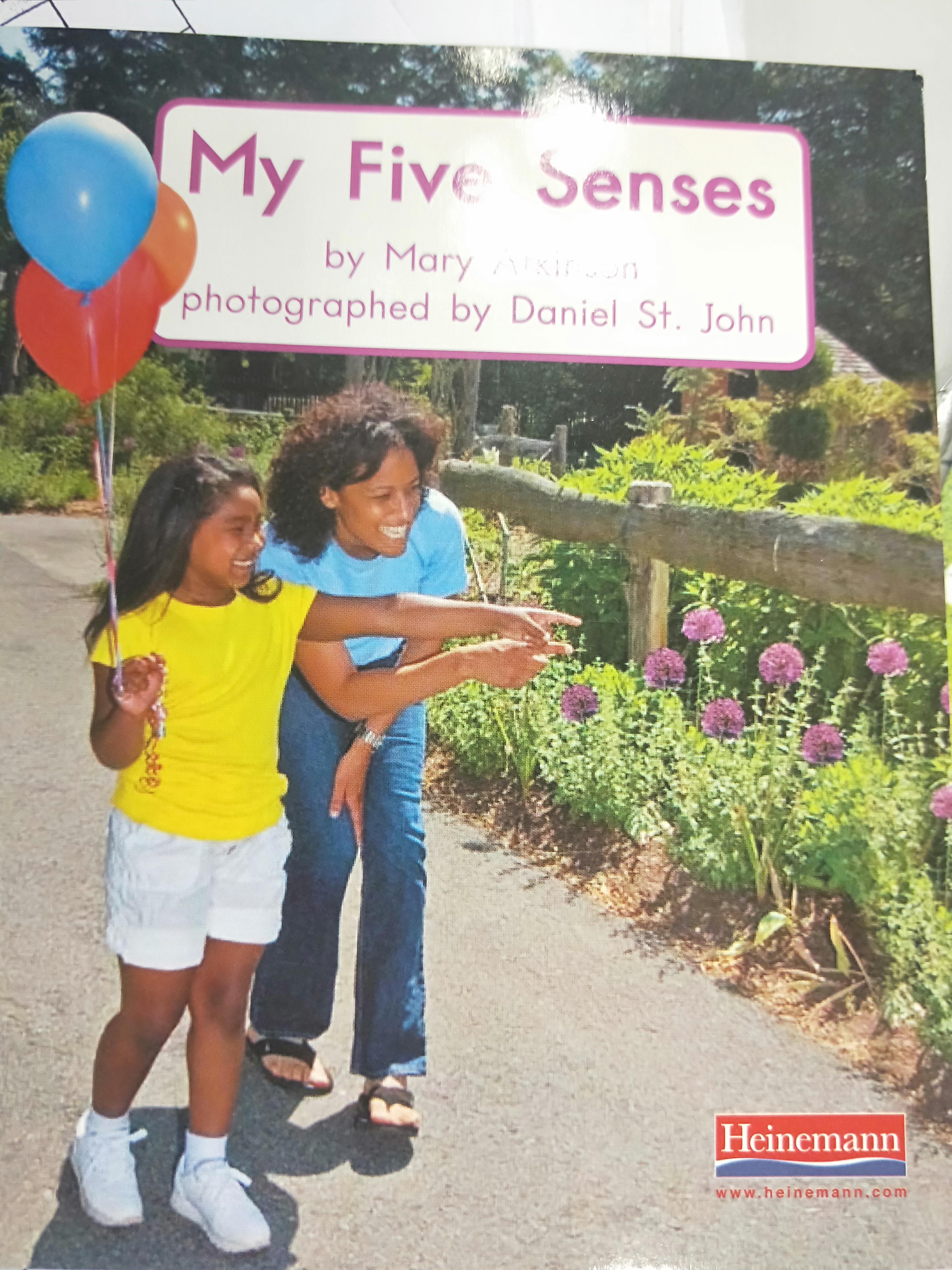 My Five Senses