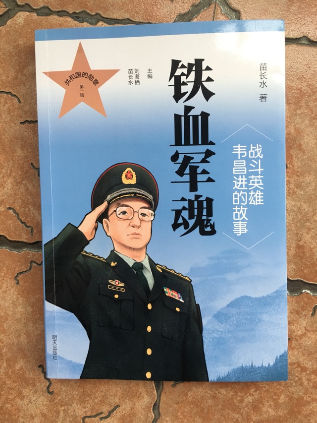 《鐵血軍魂》有感