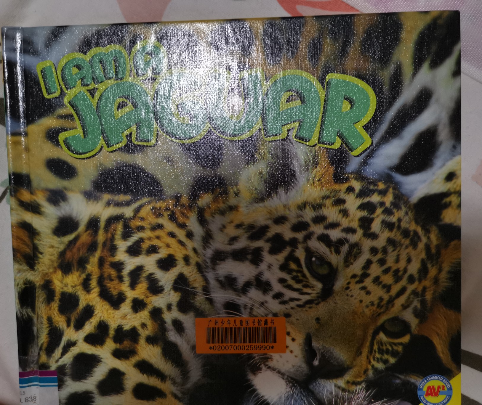 I AM A JAGUAR