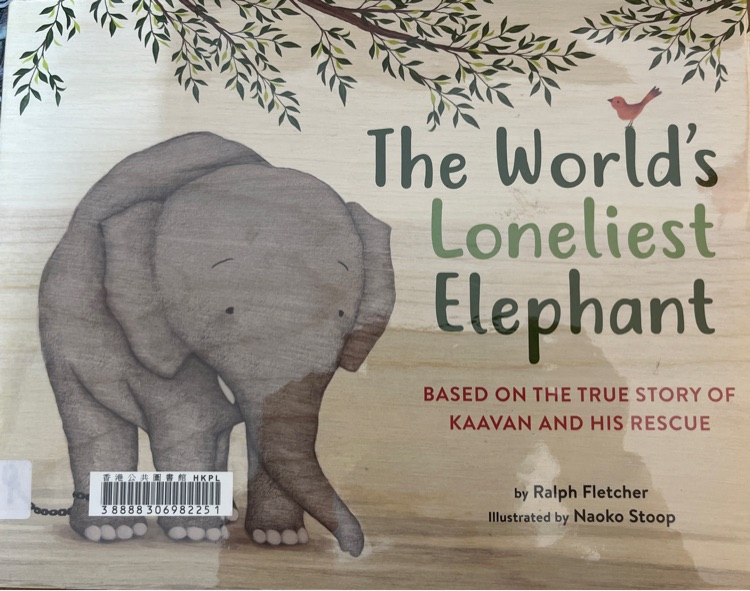 The world's loneliest elephant