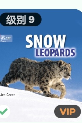 snow leopards