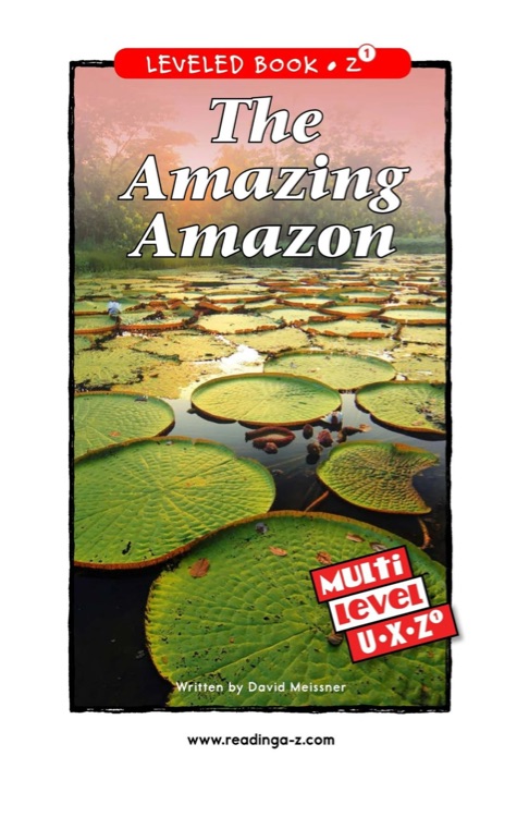 The Amazing Amazon (RAZ Z1)