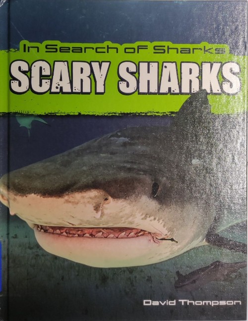 In Search of Sharks: Scary Sharks