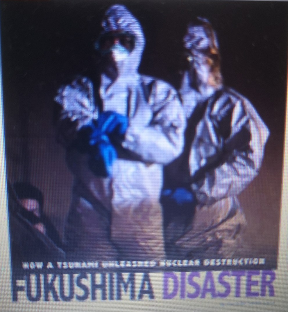 Fukushima disaster