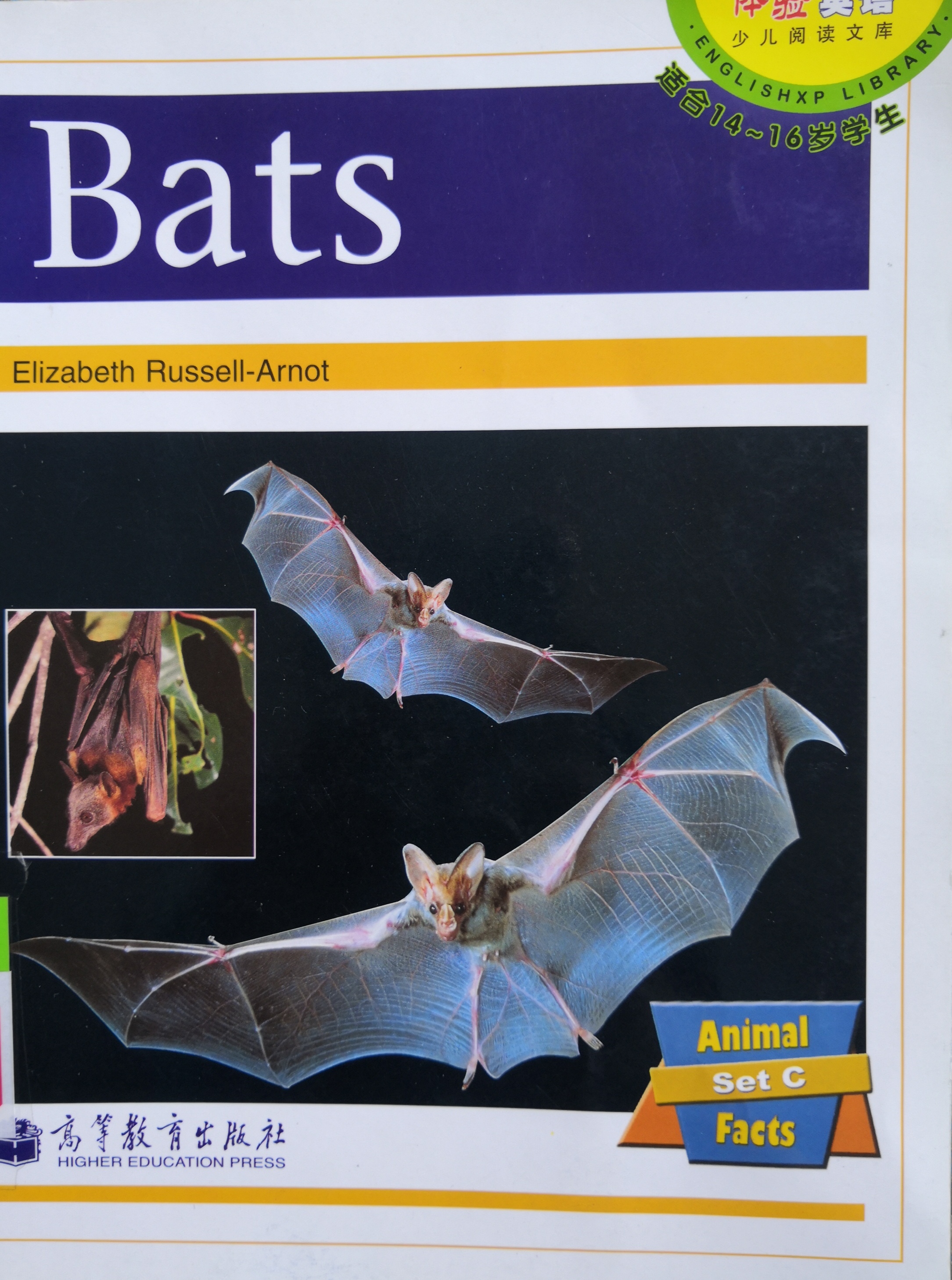 Bats PM Non Fiction Animal Facts Level 22 Nocturnal Animals Gold