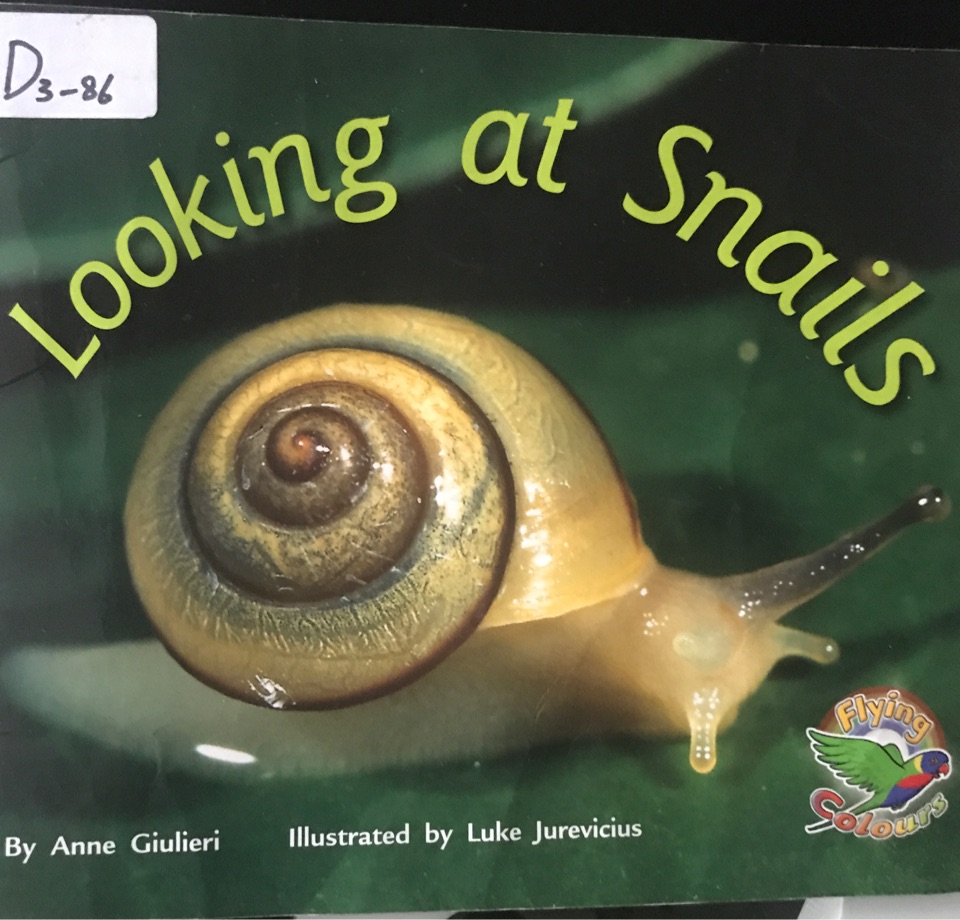 Looking at Snails