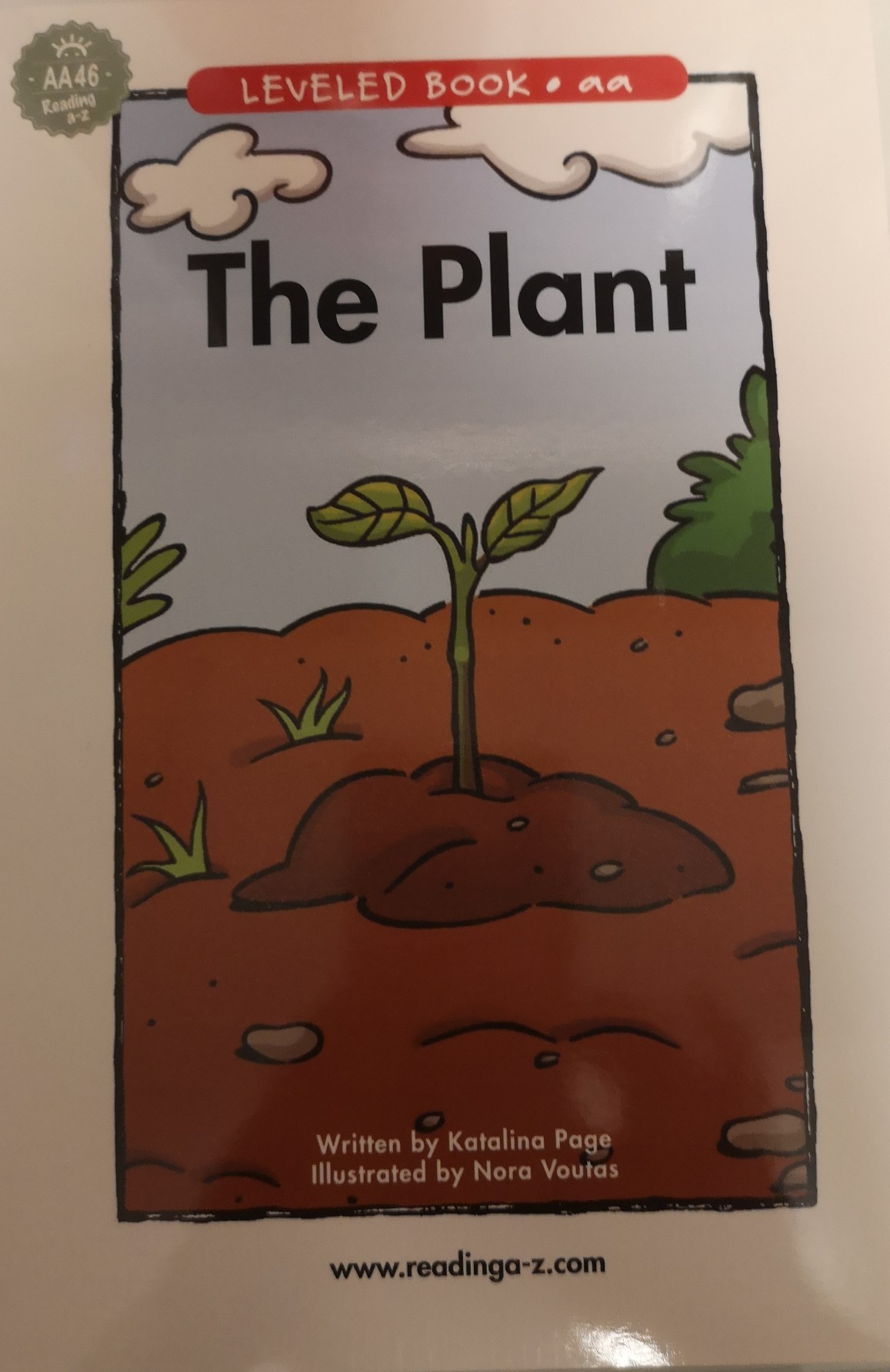 Plant