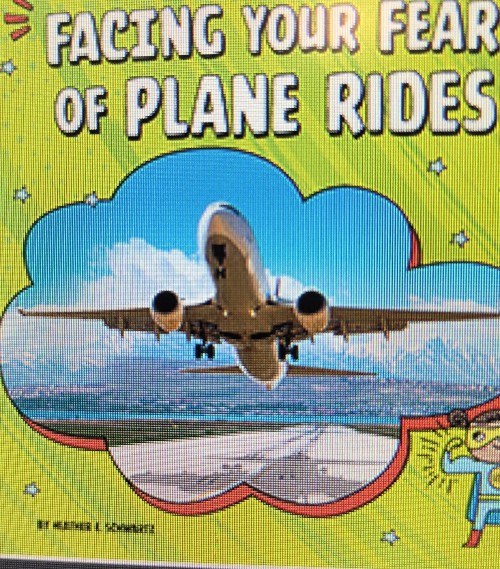 facing your fear of plane rides