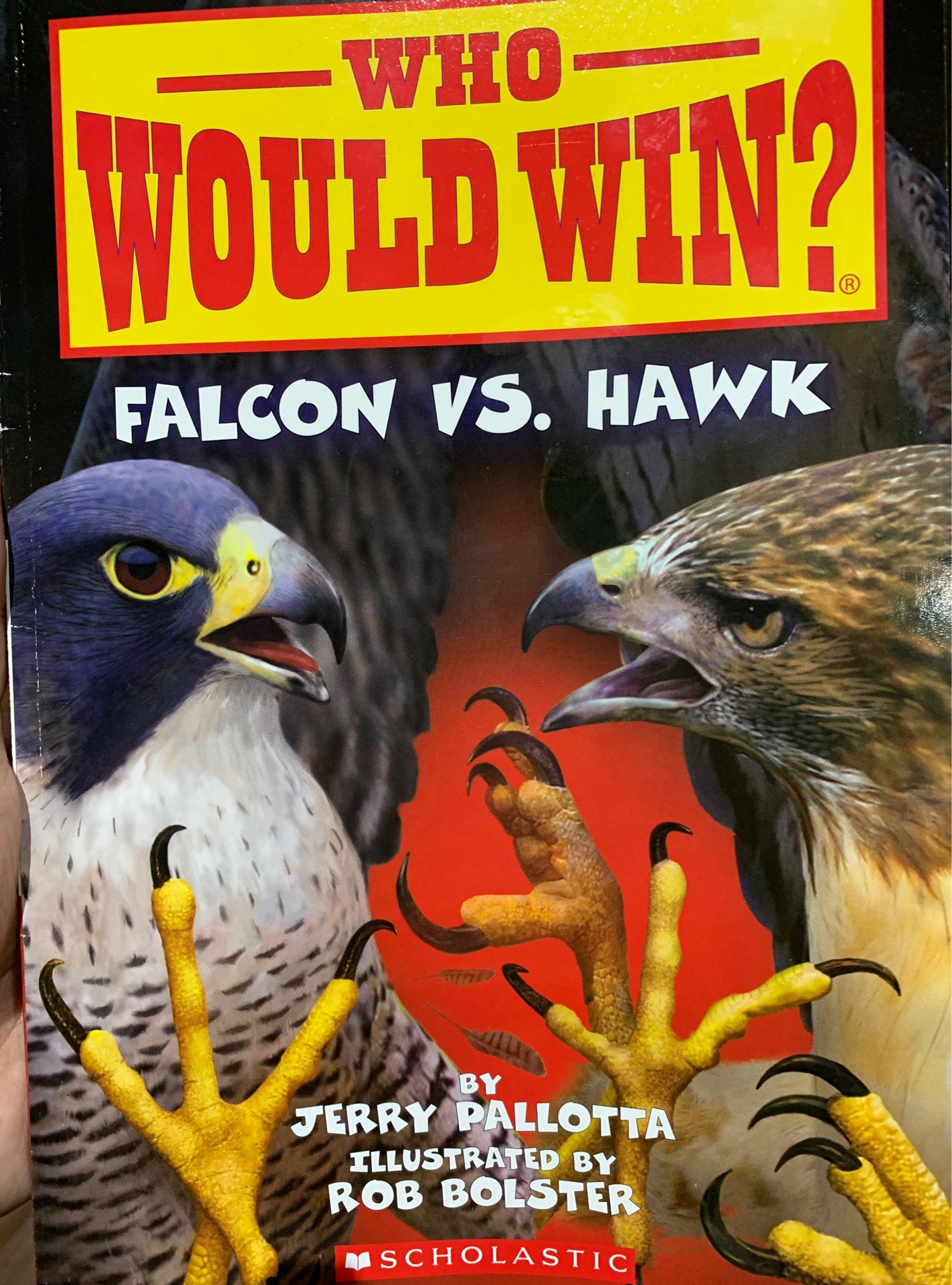 Who would win? Falcon vs. Hawk