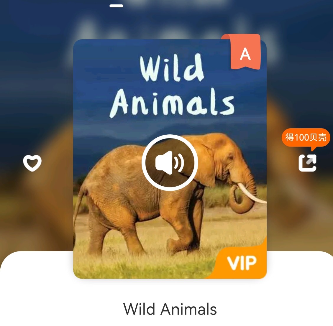 wild animals