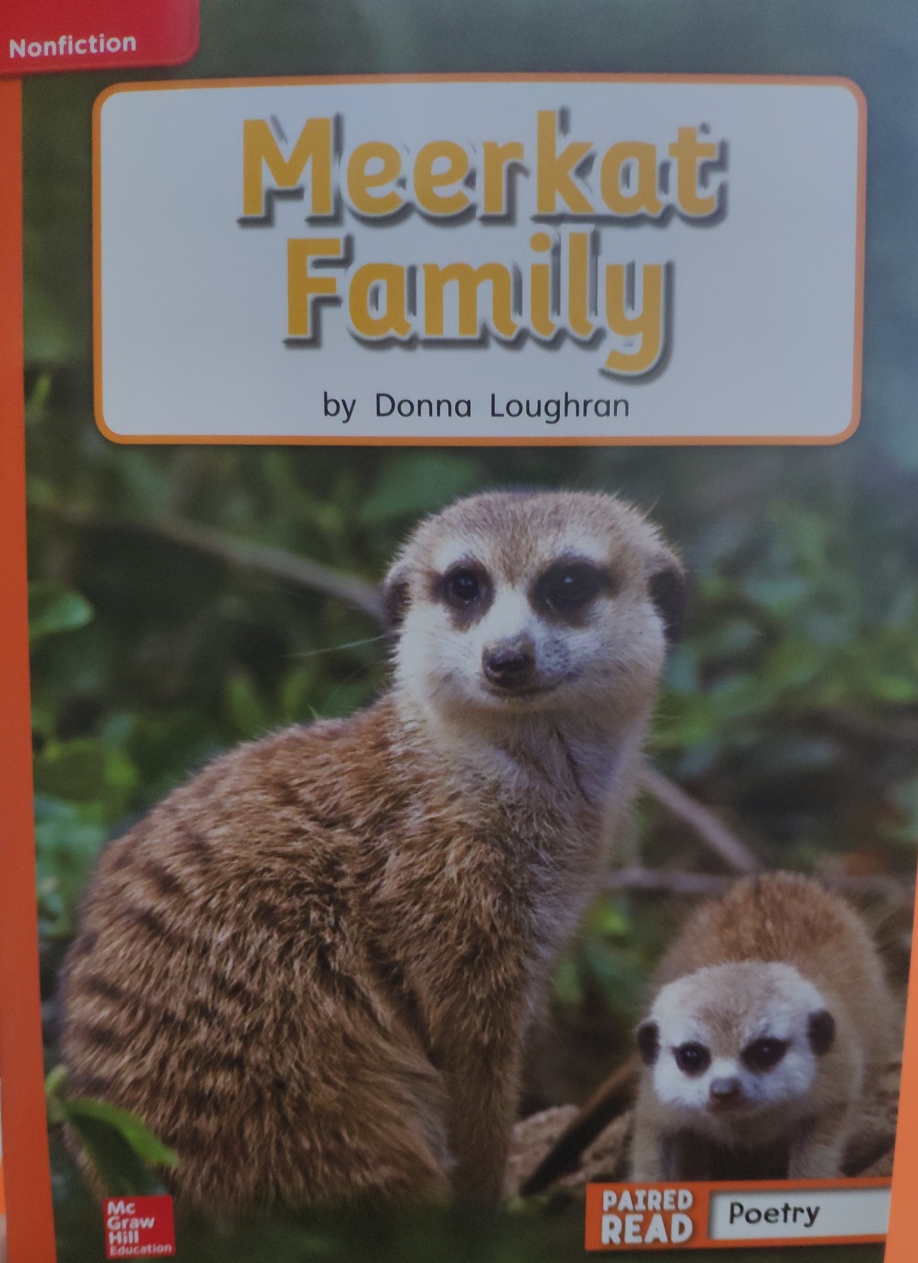 Meerkat Family