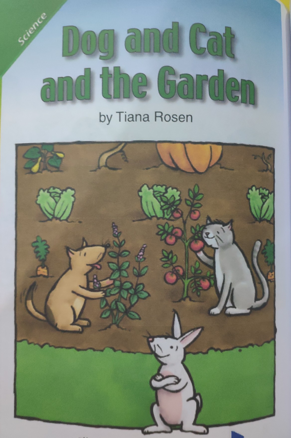 Dog and Cat and the Garden