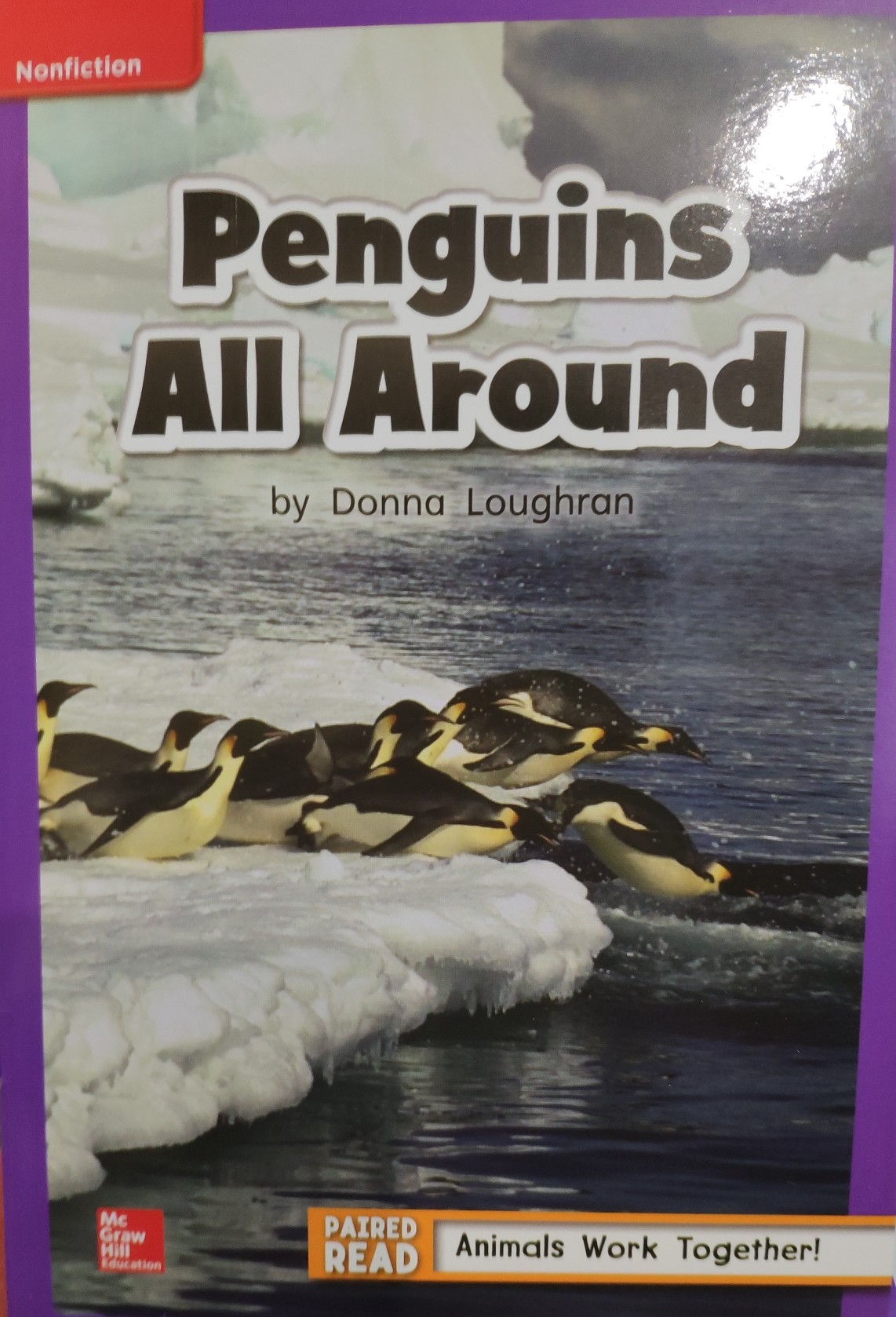 Penguins All Around