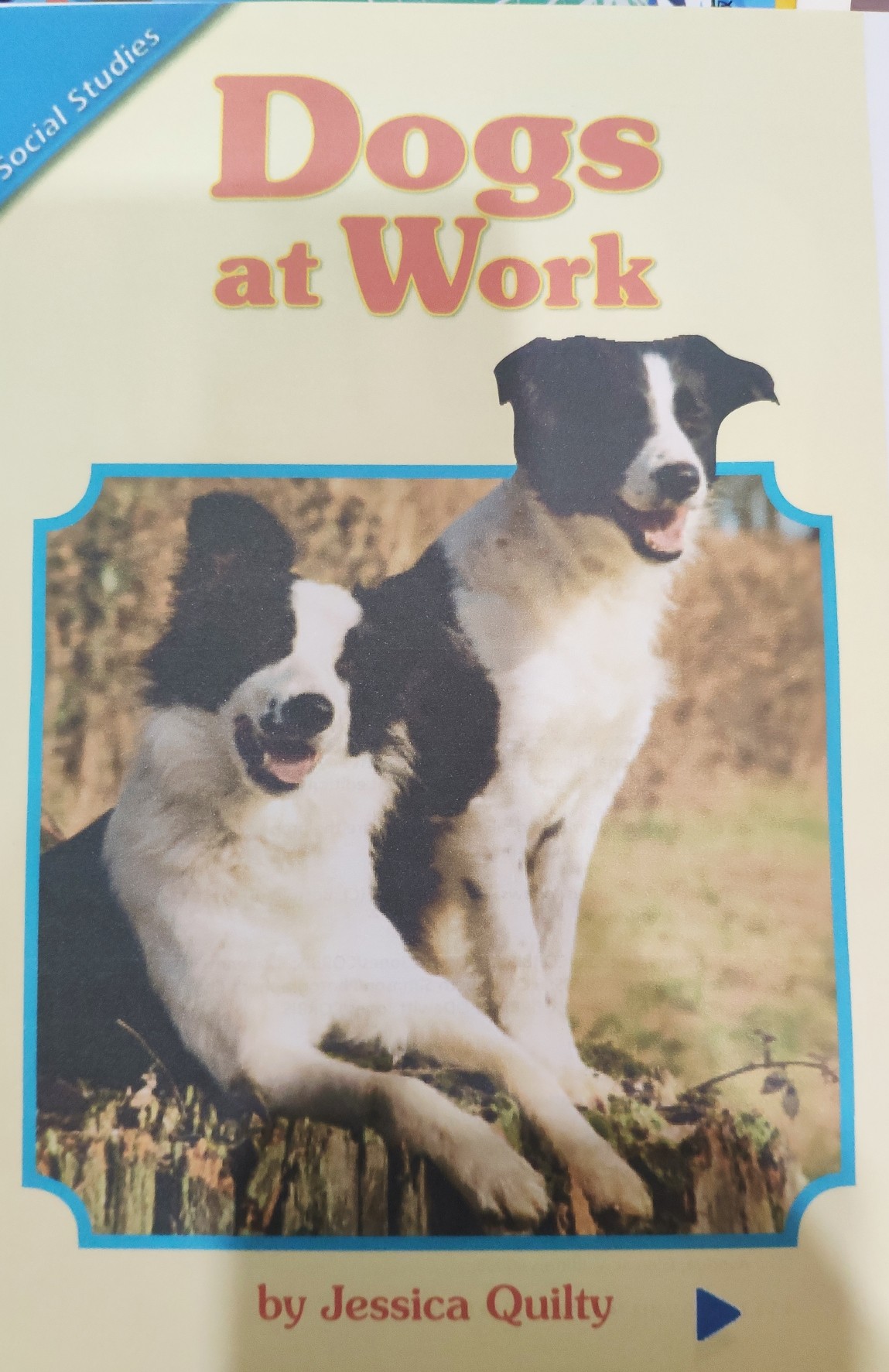 2.2.4 Dogs at Work