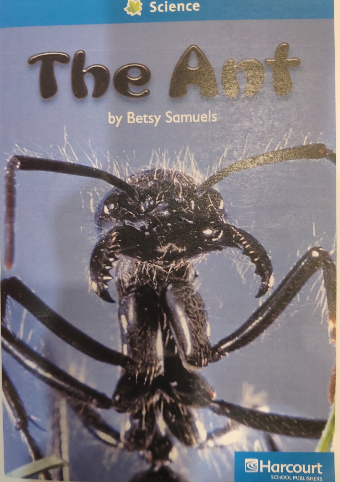 The Ant