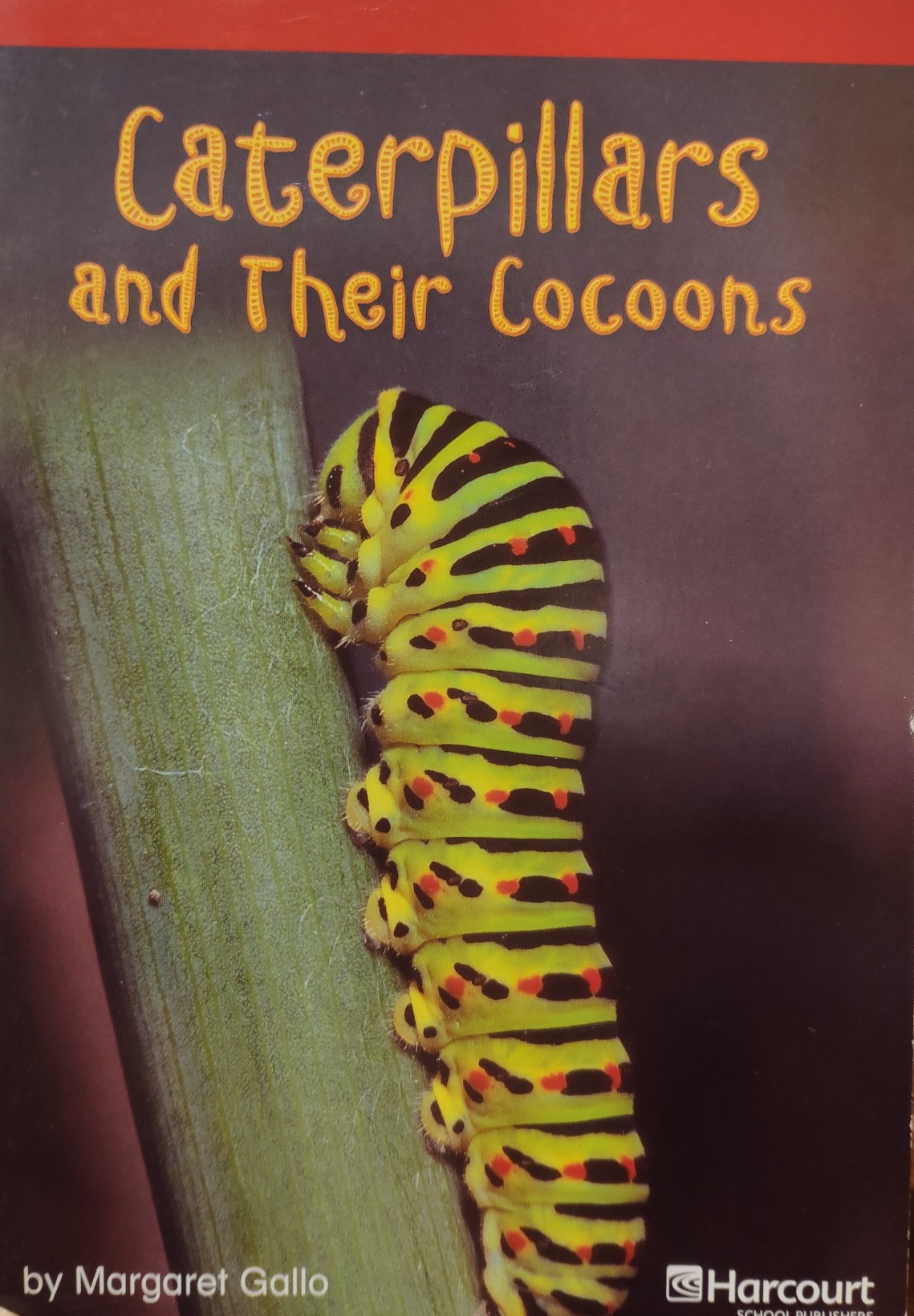 Caterpillars & Cocoons Below Level Reader Grade 3: Harcourt School Publishers Storytown (Rdg Prgm 08/09/10 Wt)