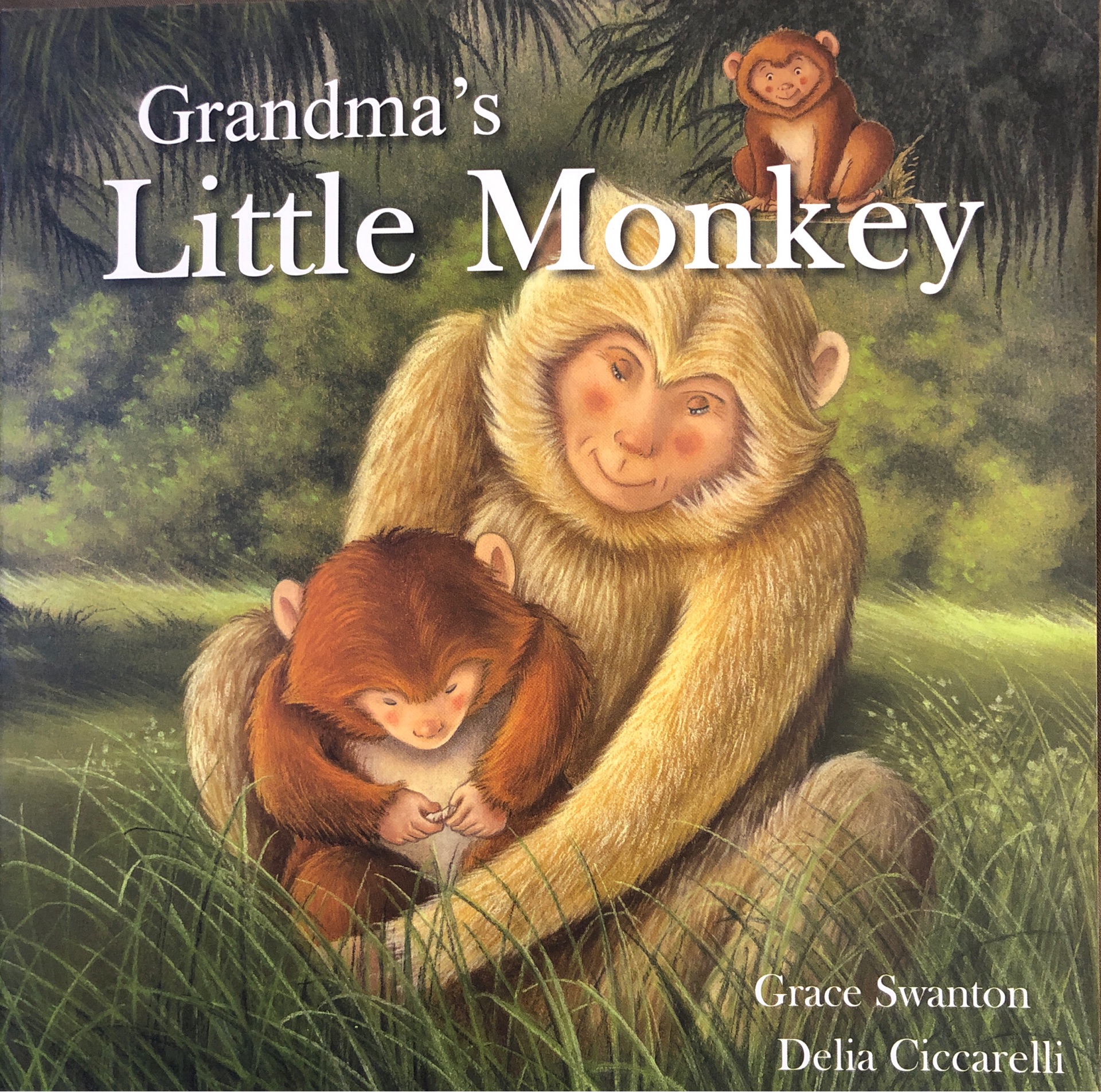 Grandma's Little Monkey