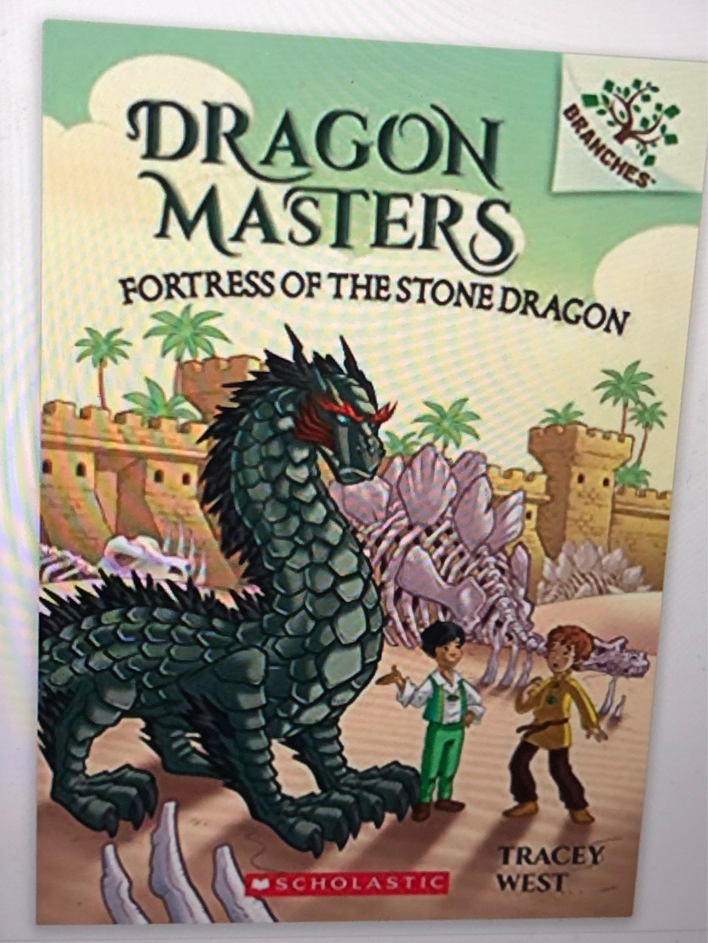 fortress of stone dragon