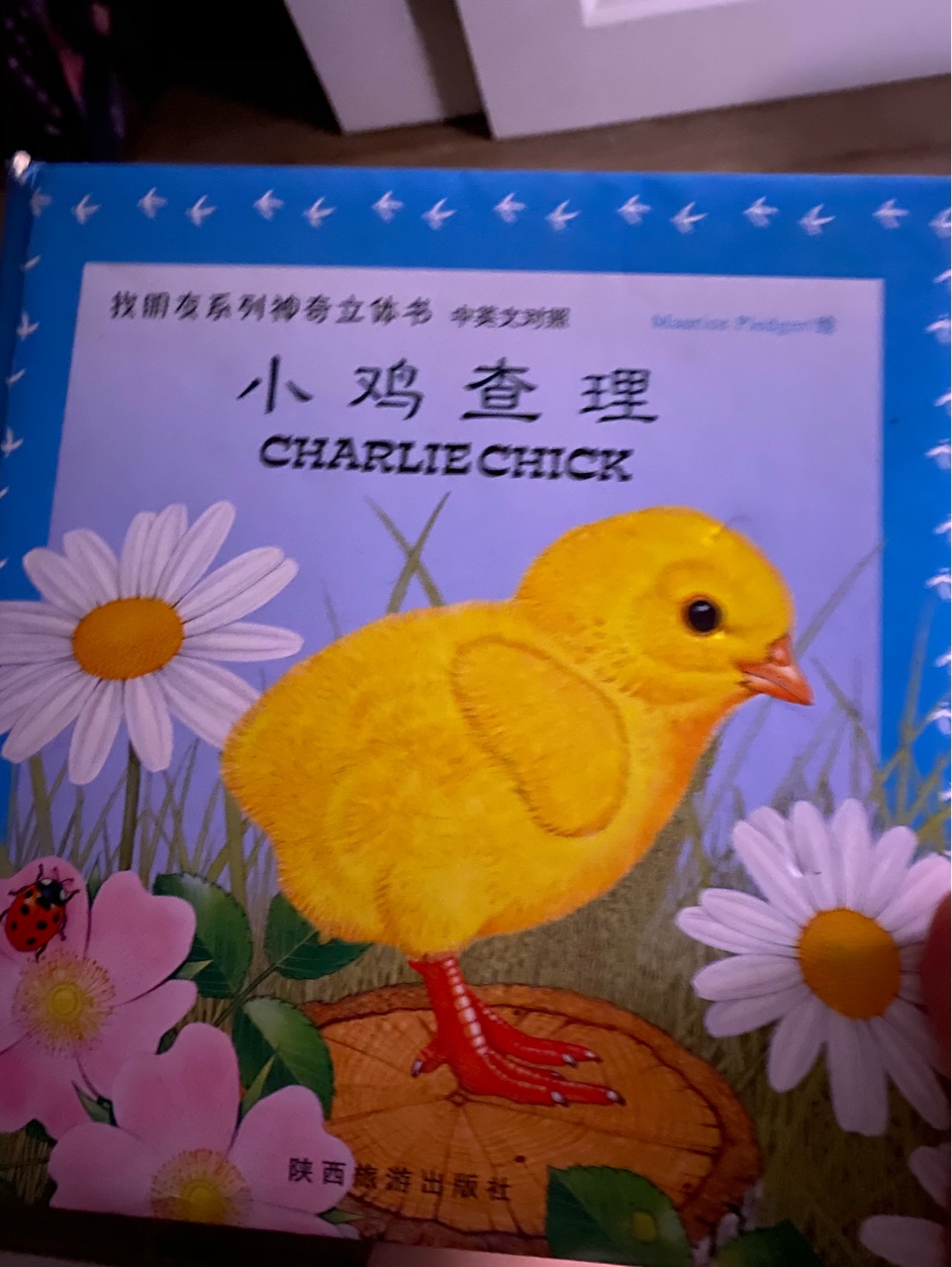 小雞查理