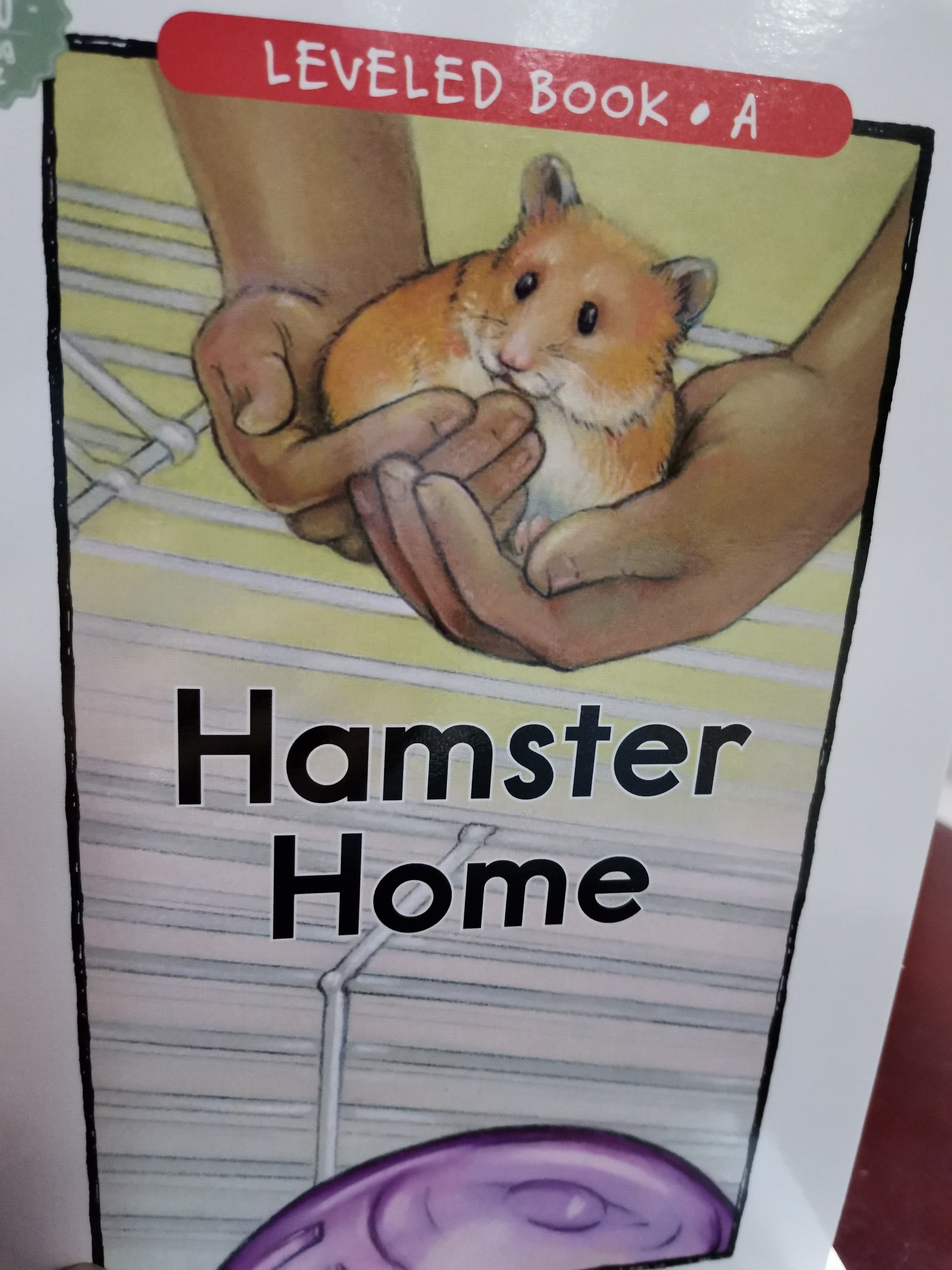 hamster home