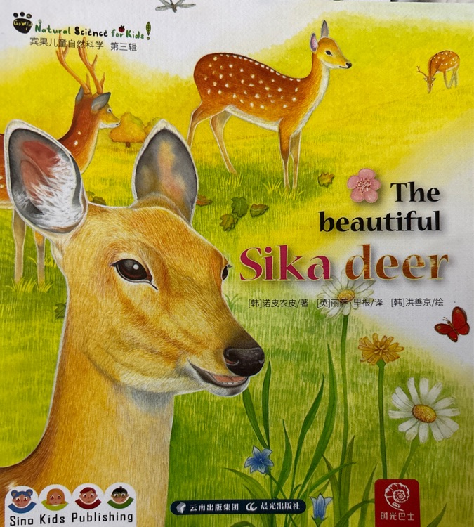 The beautiful sika deer