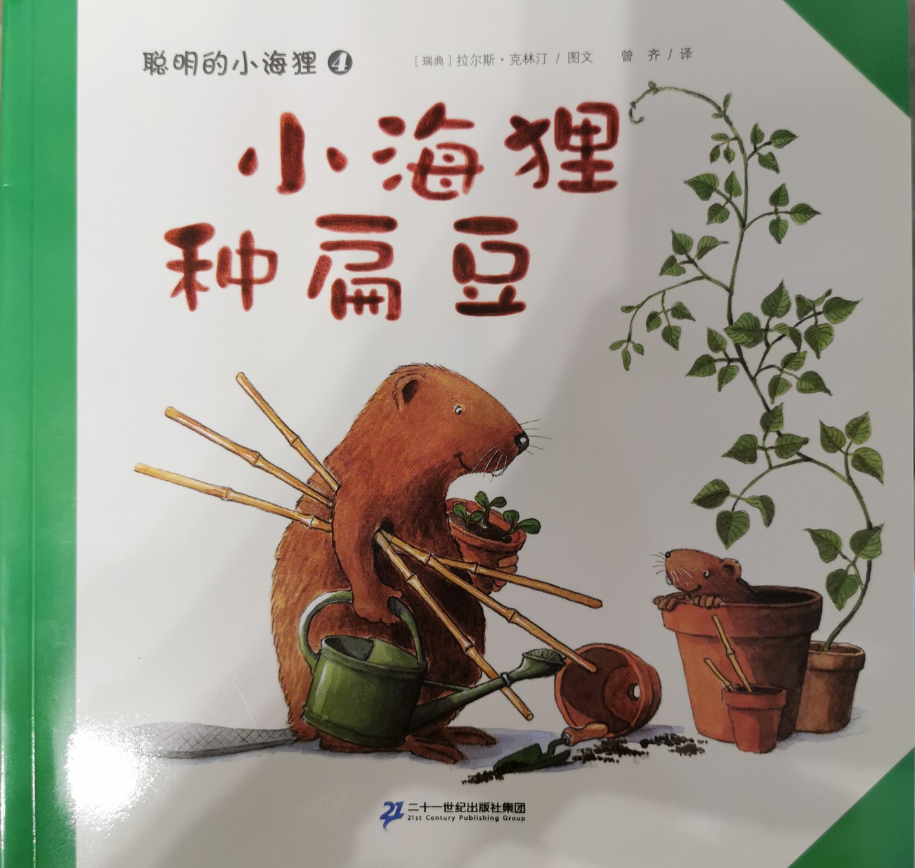 聰明的小海貍: 小海貍種扁豆