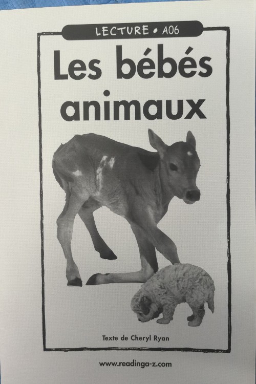 Les bébés animaux
