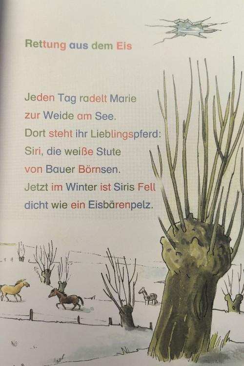 Rettung aus dem Eis
