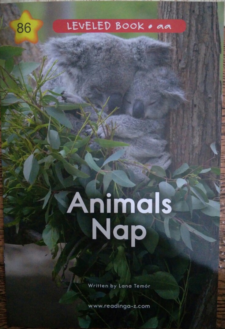 animals nap