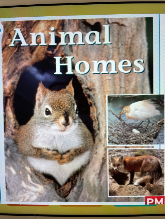 Animal Homes