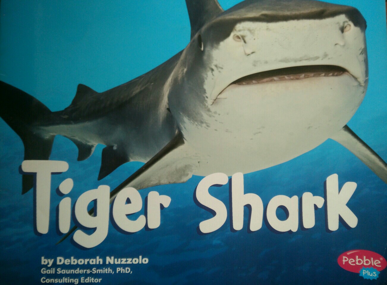 Tiger Shark