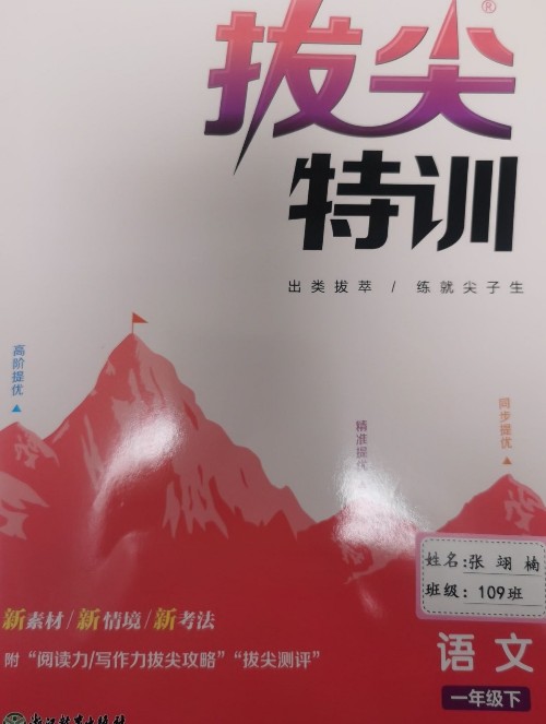 拔尖特訓(xùn)一年級(jí)下 2025年春
