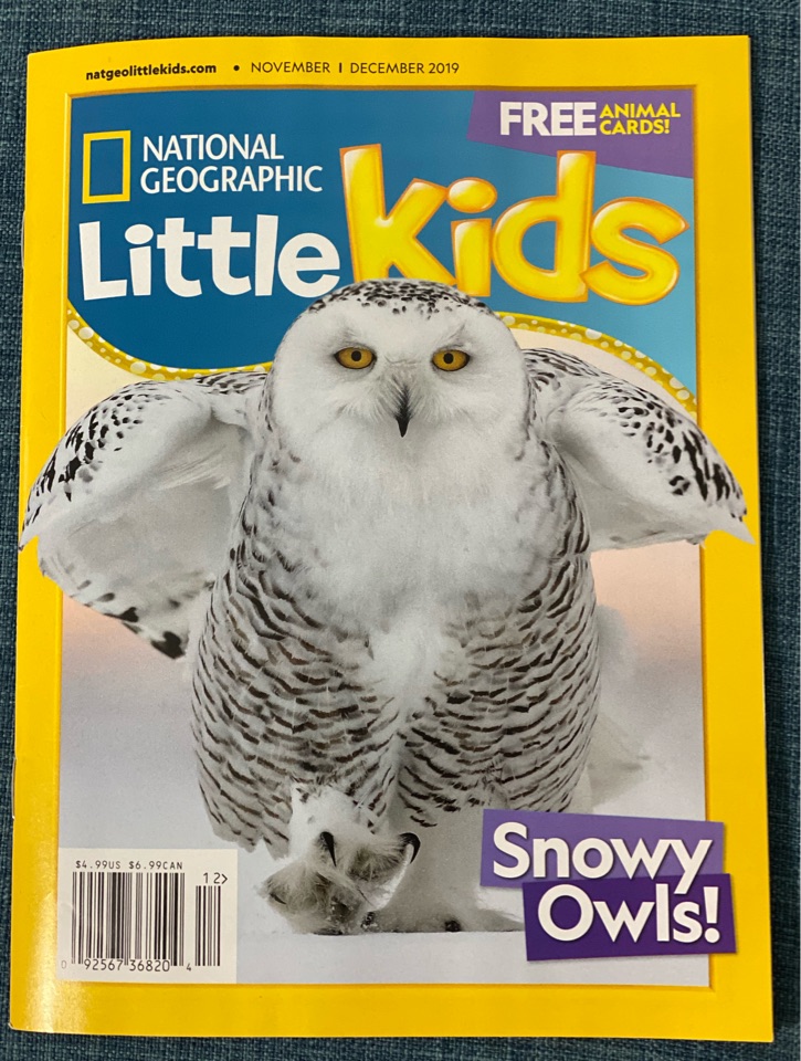 National Geographic Little Kids Snowy Owls