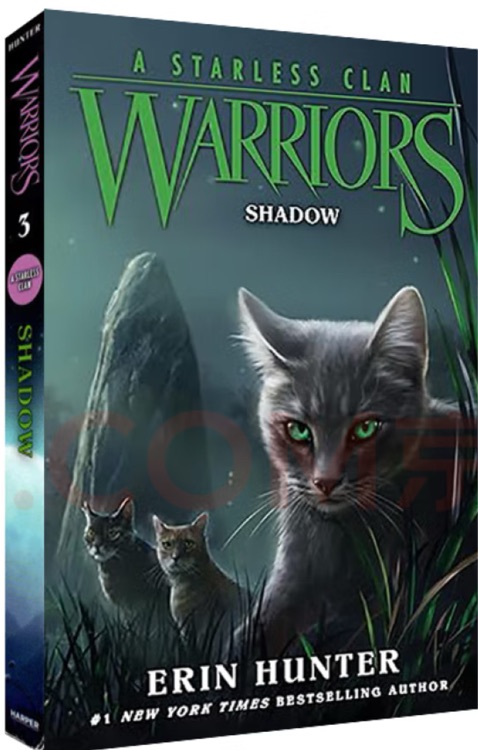 Warriors Shadow