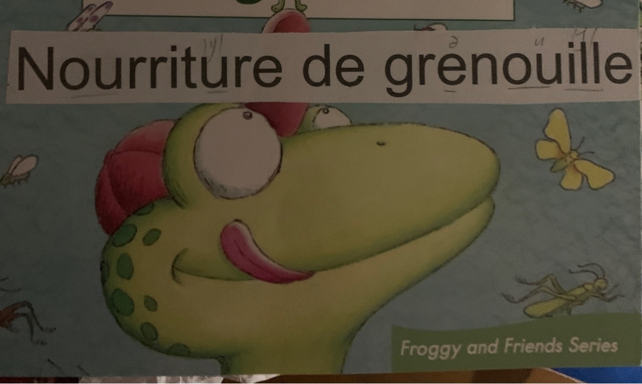 Nourriture de grenouille